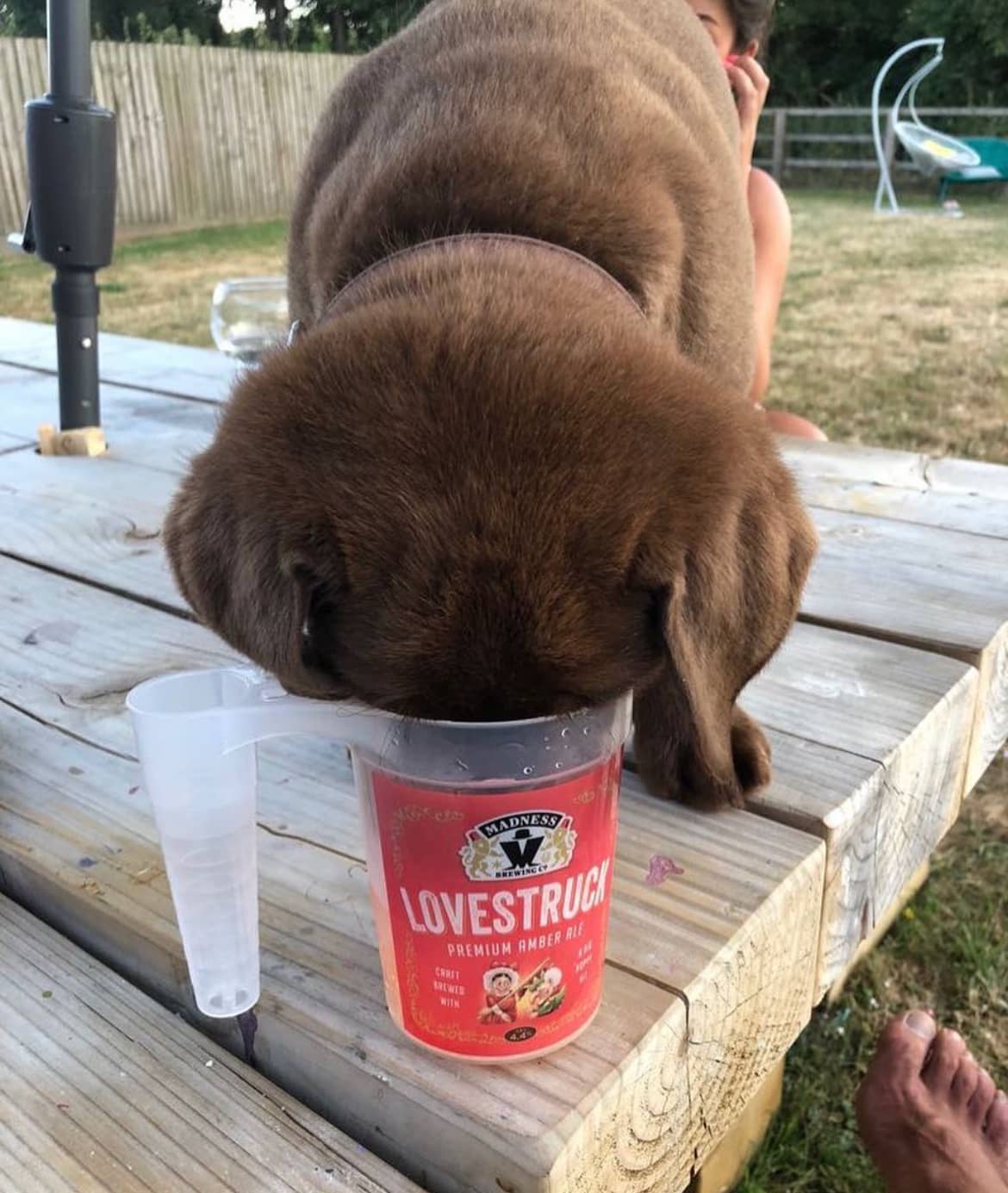 Large scale festival event usage